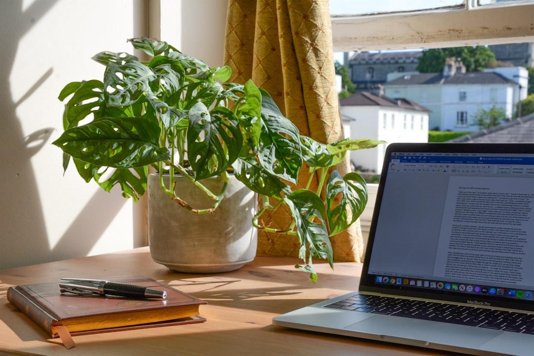 Earn Money From Home: Buy & Sell Social Media Accounts (2026)